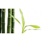aus Bambus- und Palmblatt